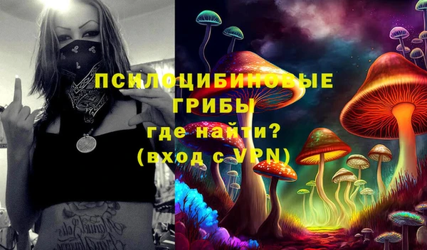 амф Абдулино