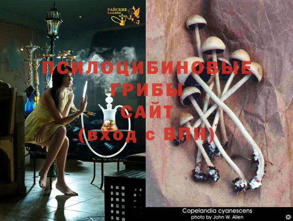 каннабис Абинск
