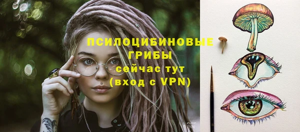 стаф Абаза