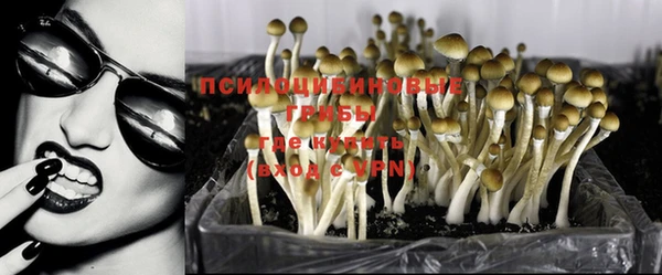 стаф Абаза