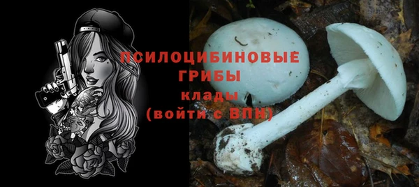 амф Абдулино