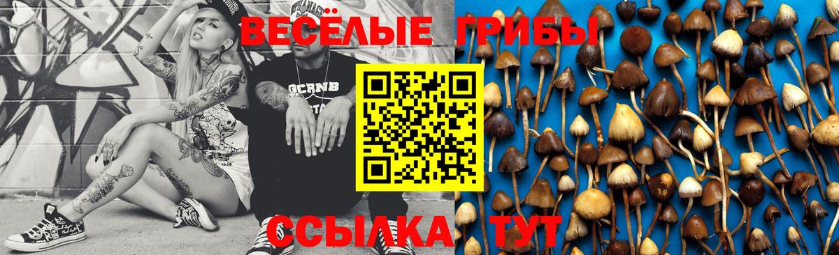 Псилоцибиновые грибы ЛСД Моршанск