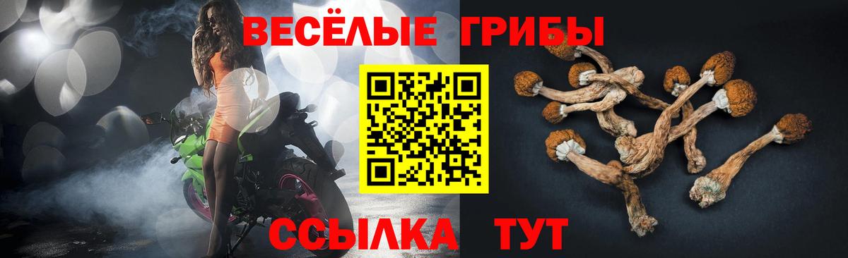 Галлюциногенные грибы прущие грибы  Галлюциногенные грибы прущие грибы  Вход с VPN  Моршанск 
